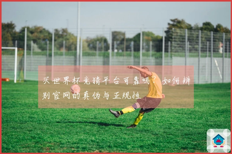 买世界杯竞猜平台可靠吗?如何辨别官网的真伪与正规性