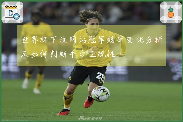 世界杯下注网站冠军赔率变化分析及如何判断平台正规性